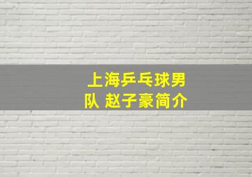 上海乒乓球男队 赵子豪简介